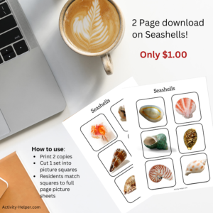Seashells Matching Game