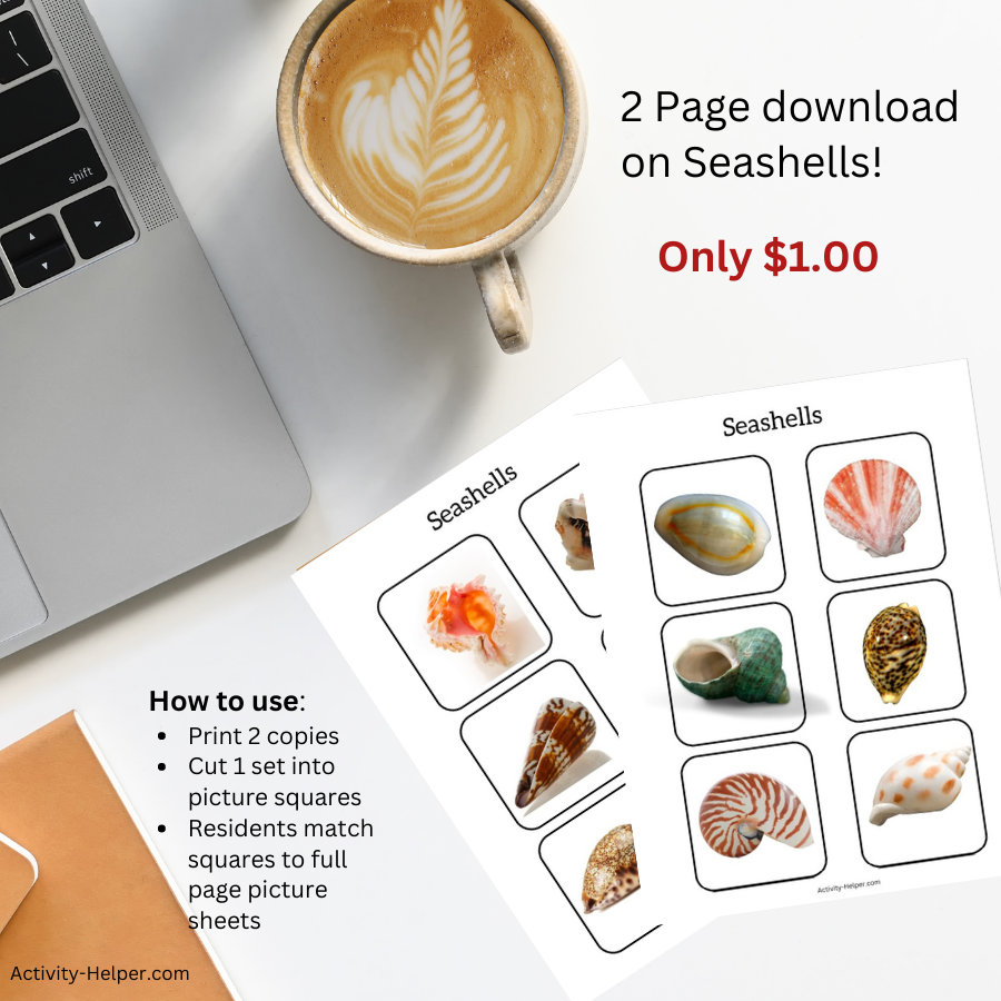 Seashells Matching Game